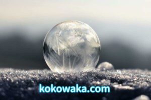 LtN16Lx1MYNIMsd1555771768_1555771782