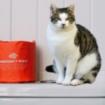 【猫のトイレ】どんな種類がある？形状・機能性で選ぶ７つのポイント