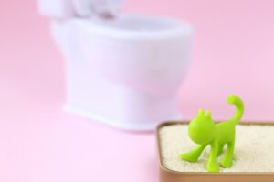猫トイレの砂選びで人気の素材5種類を厳選!特徴と選び方